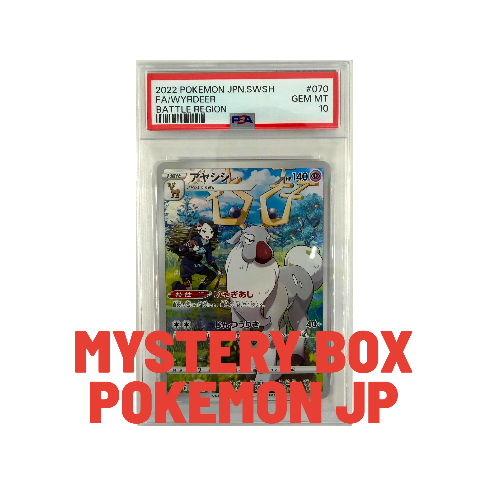 Mystery Box Pokemon Jap